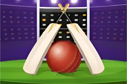 Cricket Challenge