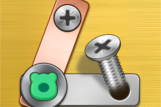 Screw Puzzle